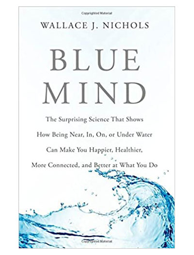 Book cover for Blue Mind