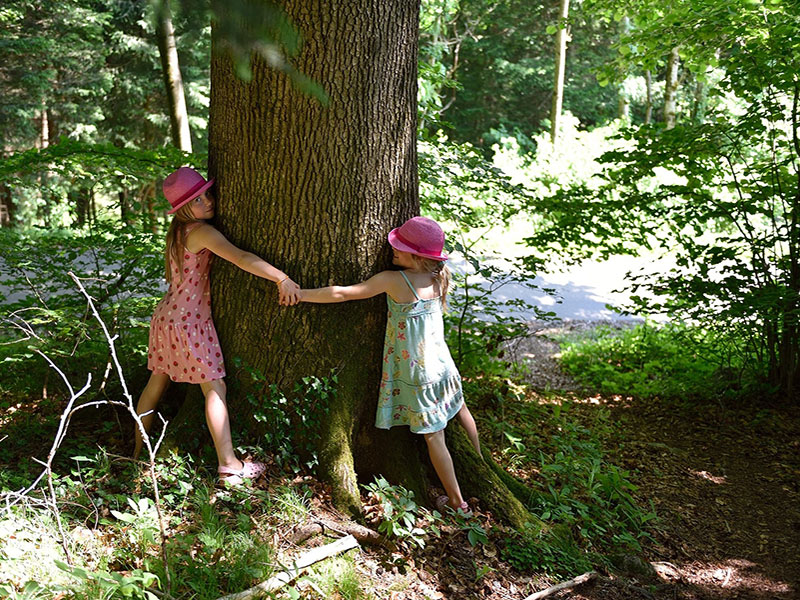 Girls hugging tree Adirondack forest bathing