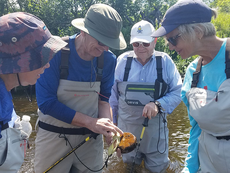 Group of employees sharing nature find during Adirondack Riverwalking