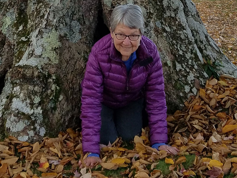 Suzanne Weirich Adirondack Riverwalking and Forest Bathing