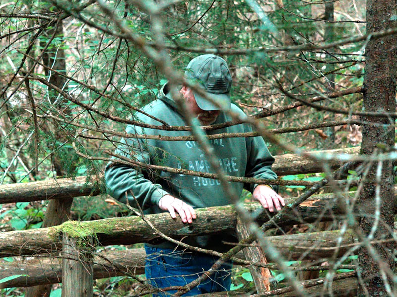 Veteran Feeling Texture of Wood while Adirondack Forest Bathing