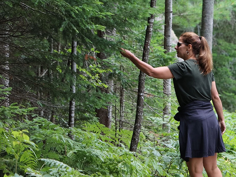 Woman Reaching out for Leaf Adirondack Forest Bathing