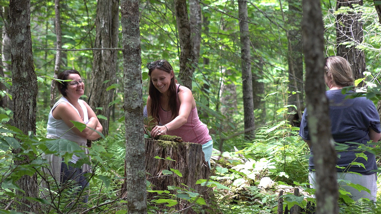 Woman placing item on log while Adirondack Forest Bathing