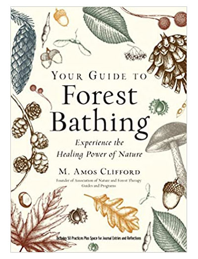 Book cover for Your Guide to Forest Bathing