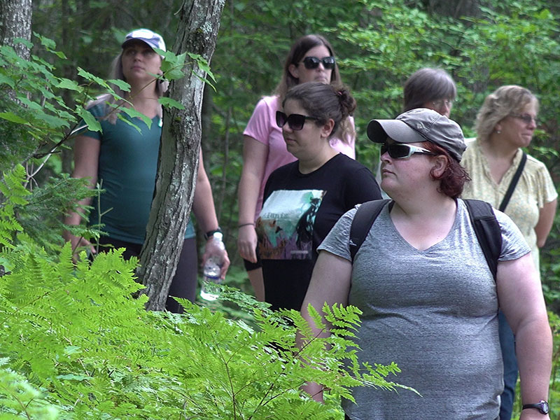 Group of women by firns in an Adirondack forest