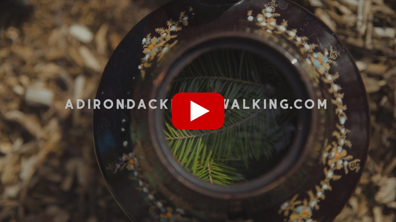 Play the Forest Bathing and Riverwalking video on YouTube