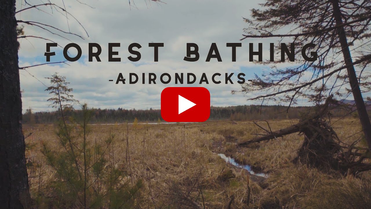 Play video: Forest Bathing in the Adirondacks
