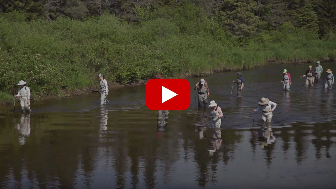 Play video: Riverwalking in the Adirondacks